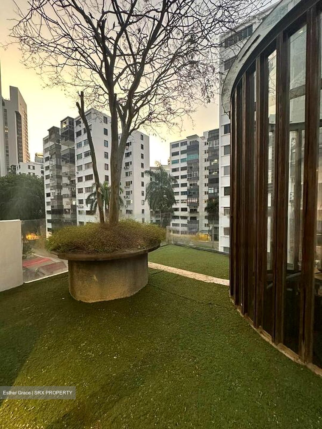 Scotts Road (D9), Terrace #600285811